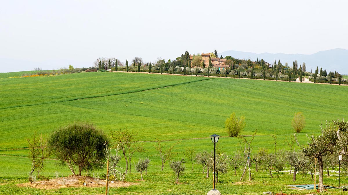 Slide show